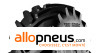 PNEU Trelleborg TM3000 620/70R26 173A8 TL,Radial,VF,cfo