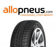 PNEU Imperial SNOWDRAGON UHP 205/50R17 93V XL