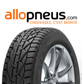 PNEU Riken europe SNOW 195/60R15 88T