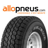 PNEU Bridgestone DUELER H/T 689 205/80R16 110R