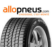 PNEU Toyo OPEN COUNTRY W/T 235/60R16 100H