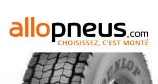 PNEU Dunlop SP462 295/80R22.5 152L TL,Radial,M+S,3PMSF