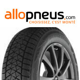 PNEU Bridgestone BLIZZAK DM-V2 275/45R20 110T XL